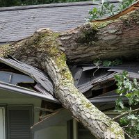 Storm-Damaged Roof? Here's a Quick Fix