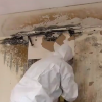 Is it Imperative to Call in Professional Remedial Services to Handle a Mold Condition?